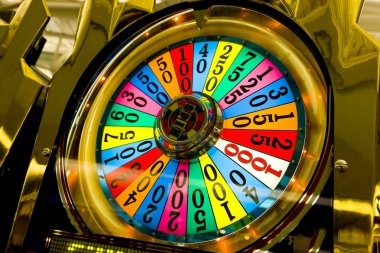 honeyslot live casino and sports dashboard